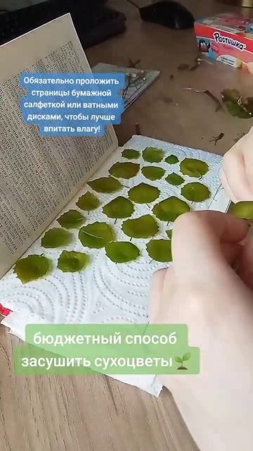 А Вы сушите что-нибудь?)🌱 #украшенияручнойработы #эпо смотреть онлайн