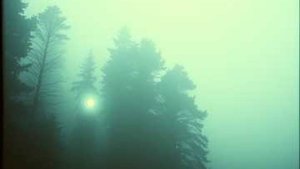 Где-то в настройках