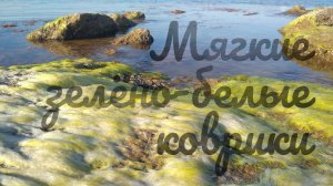 Мягкие зелёно-белые коврики