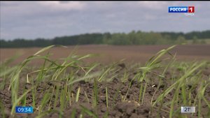 Вести-Томск, выпуск от  02.06.2025 09:30