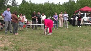 Посадский Страж Захар