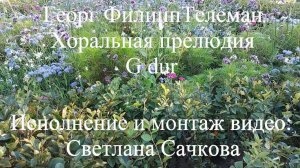 Георг Филипп Телеман "Хоральная прелюдия G dur" Светлана Сачкова