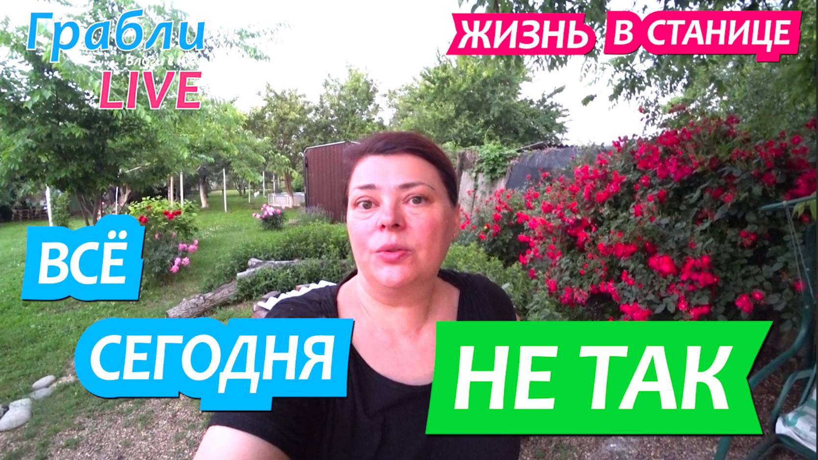 922 серия 01.06.25 Первый день лета не по плану. Жизнь в своем доме на Юге станица Динская