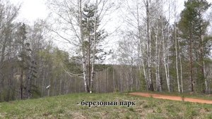 Новосибирск глазами мужа шведа