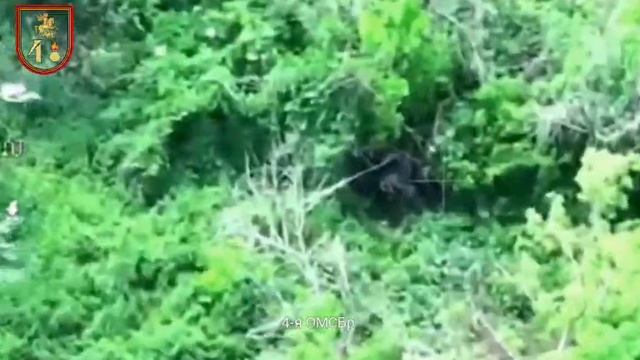 Уничтожено: 
Личный состав всу - 9 чел.
Склад БК - 2 шт.
Бронетехника - 1 ед.