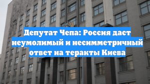 Депутат Чепа: Россия даст неумолимый и несимметричный ответ на теракты Киева
