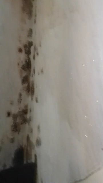 Черная плесень, клею обои!🤣🤣🤣😎😎😎😎😎 смотреть онлайн