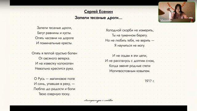 Патриотическая лирика. Тема Родины. ЕГЭ по литературе.