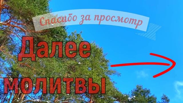 14 марта День Евдокии. Что нельзя делать 14 марта. Народн смотреть онлайн