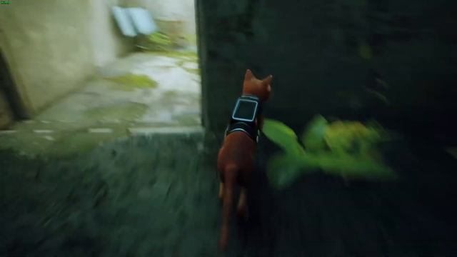 Прохождение 11 главы тюрьма+воспоминание (Stray) смотреть онлайн