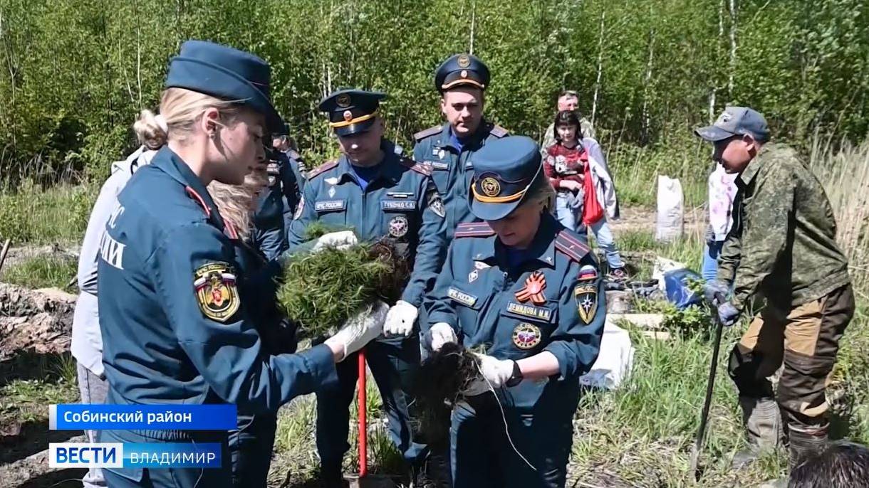 МЧС Итоги недели на "ГТРК-Владимир" от 2 июня 2025 года