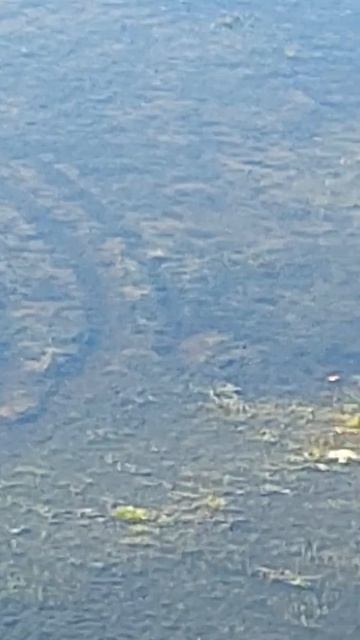 9 июнь Губкинский.Кровля Ледовый.вроде лето неожиданн? смотреть онлайн