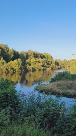 Карелия 2024. Олонец. Городской парк. Июль 2024г (Часть 3)