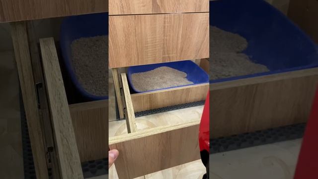 Решил поменять кошкам уплотнитель на новый и продавец смотреть онлайн