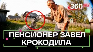 Житель Подмосковья завел у себя на участке крокодила. Только попробуйте сказать, что это нейросеть!