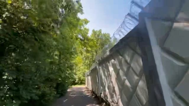 Затеряться, Чтобы Найти Себя: Одинокая Прогулка по Чаще смотреть онлайн