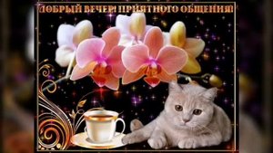 ДОБРЫЙ ВЕЧЕР! ПРИЯТНОГО ОБЩЕНИЯ