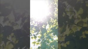 Безопасное место.mp4