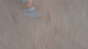 Бег в утреннем солнце: начинаю день активно  Step by step to mastery