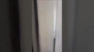 Флиппинг евродвушки в Новосибирске