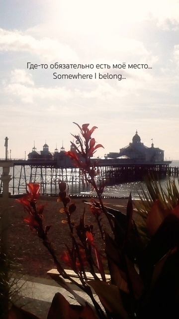 #музобои 4 #musicwallpaper #обои #wallpaper #музыкальныеобои смотреть онлайн