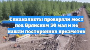 Специалисты проверяли мост под Брянском 30 мая и не нашли посторонних предметов