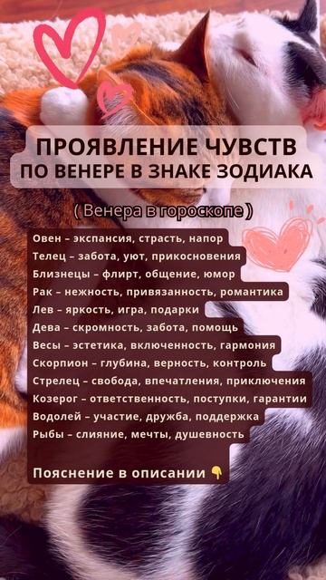 Проявление чувств по Венере в знаке Зодиака | астролог