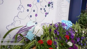 «Москва — на волне. Рыбная неделя»: огромный выбор рыбы в Кузьминках