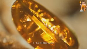 🎬 Палеонтология: Самое невероятное, что ученые находили в янтаре.