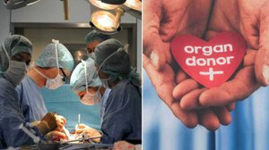 2025.ИСПАНИЯ – 33 ГОДА ЛИДЕР ПО ТРАНСПЛАНТАЦИИ В ЕВРОПЕ: ДОНОРЫ–ЗАВЕЩАЮТ ОРГАНЫ. Мнение А.РОЖИНЦЕВА