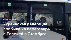 Украинская делегация прибыла на переговоры с Россией в Стамбуле