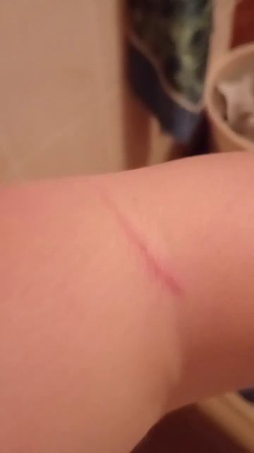 Это мой котик так сделал даже кусок обоев порвал видел смотреть онлайн