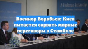 Военкор Воробьев: Киев пытается сорвать мирные переговоры в Стамбуле