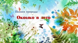 Поэзия природы. Окошко в лето.
