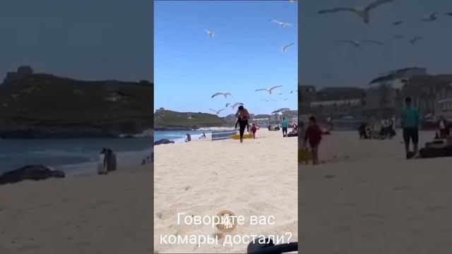 1000039683.mp4
