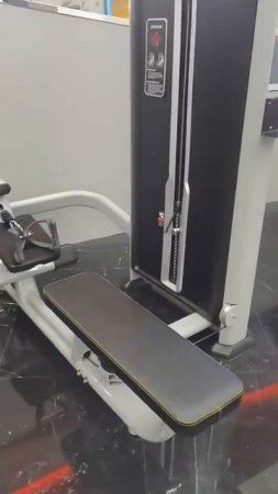 Горизонтальная тяга Insight Fitness TY09