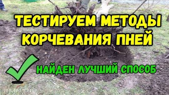 Выкорчевывание пней своими руками. Тестируем способы выкорчевывания на даче