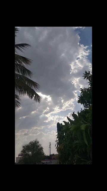 обои для телефона #shorts #обоинателефон смотреть онлайн