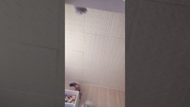 пробуем сладость