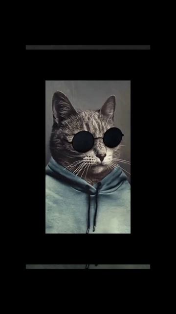 топ обои #рек смотреть онлайн