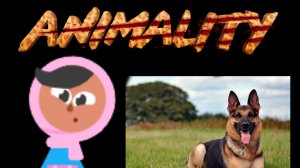 Zari animality - dog