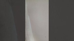 качество штукатурке