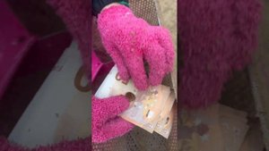 Чистка пляжа совком - деньги и золото в песке