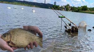 ЭТО МЕСТО РАЙ ДЛЯ РЫБАКОВ! КРУПНЫЙ КАРАСЬ НА КОРМУШКИ. ЛОВЛЯ КАРАСЯ НА ГОРОХ. ЖОР КАРАСЯ В ИЮНЕ.