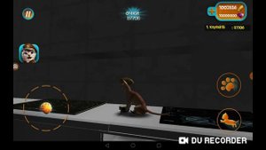 ⛓️😏Побила рекорд Фурии 515 в Cat Simulator 2015🔥⛓️