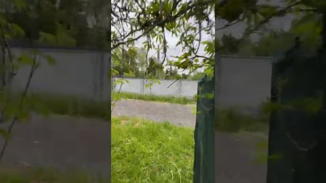 СНТ Добрый смотреть онлайн