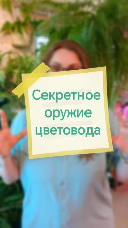 Прилипатели. Привет, я Аня! Давай дружить цветами 🌱