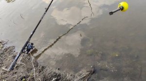 поплавок подсекатель себя оправдывает ловить рыбу можно