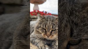 Взгляд с прищуром