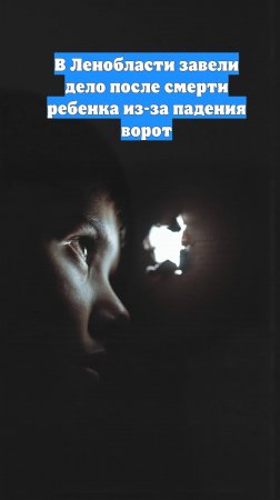 В Ленобласти завели дело после смерти ребенка из-за падения ворот